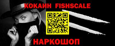 ешки Кингисепп