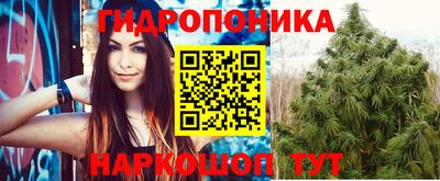 ешки Кингисепп