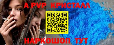 ешки Кингисепп