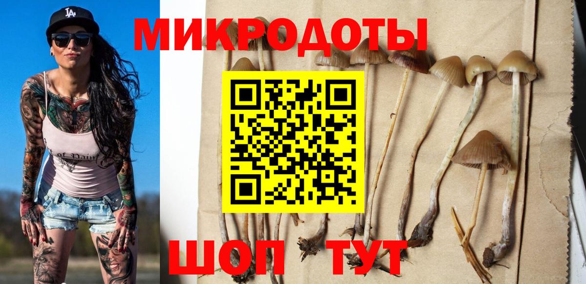 Галлюциногенные грибы ЛСД Арзамас