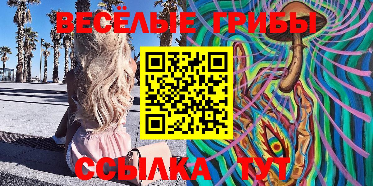 Псилоцибиновые грибы GOLDEN TEACHER  Псилоцибиновые грибы MAGIC MUSHROOMS  Вход с VPN  Арзамас 